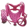 haoyueer Leather Spiked Studded Medium & Large Dog Collars, Harnesses