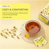 Wissotzky Chamomile Herbal Tea, 20 Tea Bags | Soothing Aroma