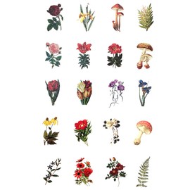 allydrew Decorative Scrapbooking Washi Stickers, DIY Crafts for Stationery, Diary, Card Making (60 pcs), Spring Flowers