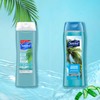 Suave Body Wash Ocean Breeze 2-Pack + Fresh Antiperspirant Deodorant