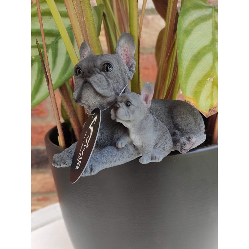Vivid Arts Plant-Pals (Blue French Bulldog with Puppies)