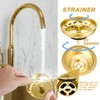 Norme 5 Pcs 3-1/2 Inch Kitchen Sink Drain Strainer Assembly