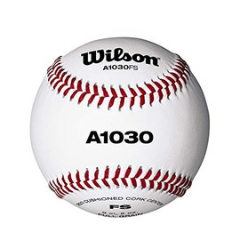 WILSON Sporting Goods Champion Series Baseballs, A1030, FS (One Dozen), White