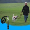 Lotsdonxia Dog Training Whistle with Lanyard – Lightweight High-Pitch Recall