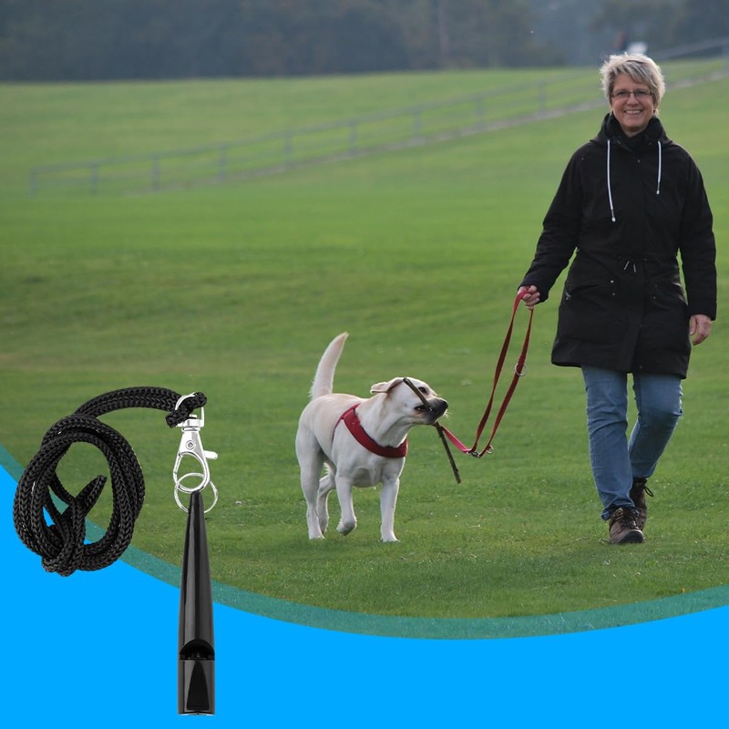 Lotsdonxia Dog Training Whistle with Lanyard – Lightweight High-Pitch Recall