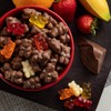 Milk Chocolate Covered Gummi Bears: 2.25 LBS