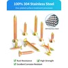 DIVANC 600Pcs Stainless Steel Zinc Plated Wood Screws Assortment Kit,
