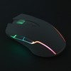 Wireless Mouse 2.4G Rechargeable USB RGB Professional Grade Optical Sensor