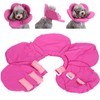 Dog Protective Collar Adjustable Pet Wound Recovery Flower Shape Neck