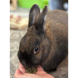 Sherwood Pet Health Adult Rabbit Food Timothy Hay Pellet 10 lbs. Hay-Based, Grain-Free, Soy-Free for Better Digestion