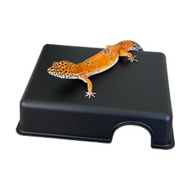 Reptile Hide Box, Small Animal Hideout, Plastic Hide cave for Leopard Geckos, Small Snakes, Juvenile Ball Pythons, Lizards, hognose Snakes, cornsnakes (Large)