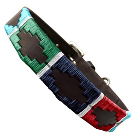 Carlos Diaz Genuine Leather Waxed Embroidered Polo Dog Collar XXS