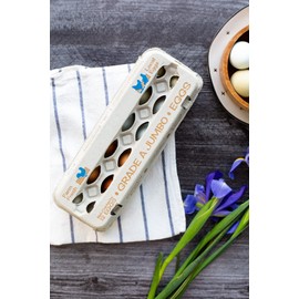 TECS 12-Egg Grade A Jumbo Paper Pulp Egg Carton with UPC - 125 Pack