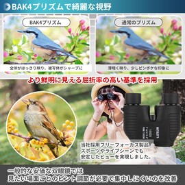 [Best Choice if You Take It To Concert & Concert] Binoculars, Concerts, Live Opera Glass, 10 Times, Free Focus, Auto (Black)