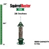 Squirrel Buster Plus Squirrel-proof Bird Feeder w/Cardinal Ring and 6
