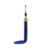 SAMDEEMI Graduation Tassel with 2024 Gold Year Charm for Graduation