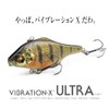 VIBRATION-X ULTRA(RATTLE IN) KASUMI ITO