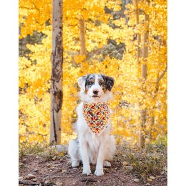 Elegant Little Tail Dog Bandanas - 1Pack Washable Fall Scarf, Square Bib Kerchief, Adjustable Pet Bandana for Medium or Large Dogs, Girl or Boy