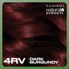 Clairol Natural Instincts Demi-Permanent Hair Dye, 4RV Dark Burgundy Hair