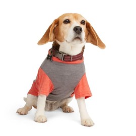 Reddy Grey/Red Cooling Dog Tee, Small