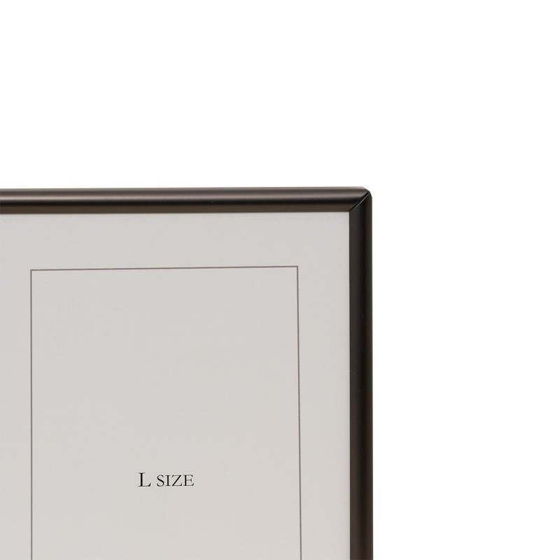 FUJICOLOR 507137 1514TL Metal Photo Stand, Large, Vertical 2 Sides,