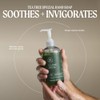Tea Tree Hand Soap, jabón líquido para manos con árbol