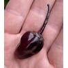 Purple Bubblegum 7 Pot BBG Scorpion Super Hot Pepper Premium