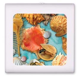 Plug in Dimmable LED Night Light with Dusk to Dawn Auto Sensor, Adjustable Brightness, Warm Light, Auto On-Off Nightlight for Bathroom, Hallway, Nursery, Bedrooms - Shells