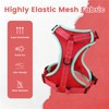 PAWDAY No-Pull Dog Harness with Dog Leash Breathable Mesh Adjustable