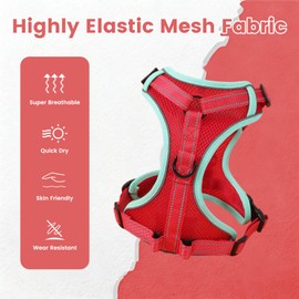PAWDAY No-Pull Dog Harness with Dog Leash Breathable Mesh Adjustable Soft Padded Pet Vest Reflective for Small/Medium/Large Dogs Walking, Training