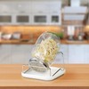 Royal Gardineer Sprouting Glass: Germination Glass with Metal Stand, Cress