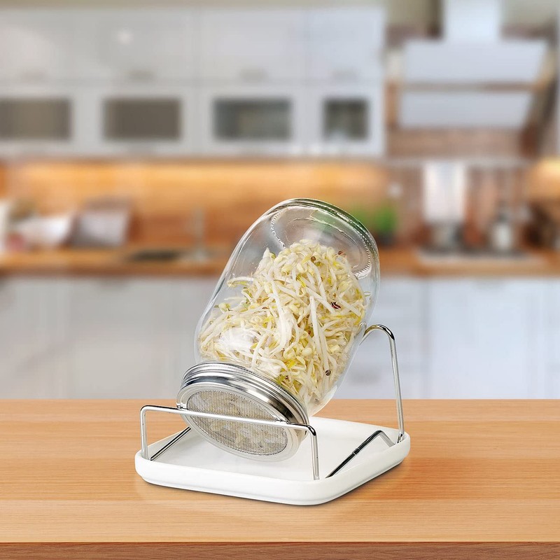 Royal Gardineer Sprouting Glass: Germination Glass with Metal Stand, Cress