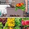 Oliz Self-Watering Rectangle Planter Boxes 8-Pack, 15.7-Inch Window Box Planter