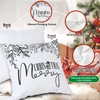 Ywlake Hello Winter Merry Christmas Throw Pillow Covers 18x18 Set