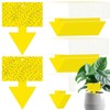 Qualirey 100 Pcs Dual Sided Fruit Fly Traps - Indoor