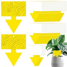 Qualirey 100 Pcs Dual Sided Fruit Fly Traps - Indoor & Outdoor Use