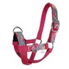 Tahoe Tack Nylon Overlay Sheep and Goat Training Halter with