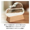 Chatani Sangyo Storm Glass Cloud 333-274