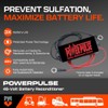 Pulsetech PowerPulse Battery Maintenance System, 48V