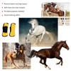 Horse Tendon Boots 4 PCS Protective Comfortable and Adjustable Boots