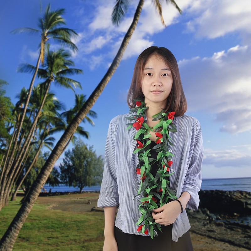 3pcs Assorted Color Hawaiian Leis Tropical Party Simulated Flower Leaf