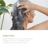 Lazartigue Colour Protect Shampoo For Women 8.4 oz Shampoo