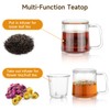 COPOTEA Glass TeaCup with Glass Infuser and Lid, 14.5oz/ 430ml