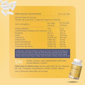 Focus Nootropicos Melena De Leon Bacopin L Glutamina Sabor Sin sabor Moods