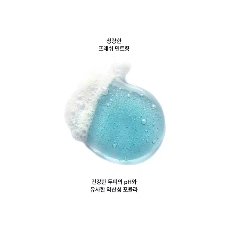 Aqua Mint 아쿠아민트 딥클렌징 쿨링 샴푸 400ml 2개 Aqua Mint