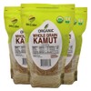 McCabe Organic Kamut - Kamut Grain Khorasan Wheat Berries |