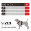No Pull Dog Harness for Small Medium Large Dogs -