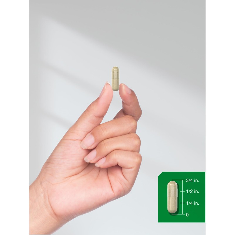 Horbäach Moringa Oleifera | 6000mg | 300 Powder Capsules |