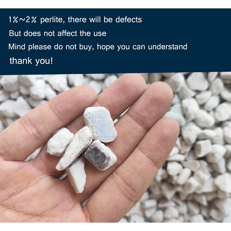 30 QT Professional Grade Horticultural Organic Perlite (30 QT, Large