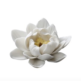 Lanito Incense Burner, Lotus Incense Plate, Stylish, Ceramic Buddhist Altar Incense Burner, Healing Incense Ceremony, Tea Ceremony, Relax, Meditation, Sleeping, Study Meditation, Zazen, Yoga, Interior